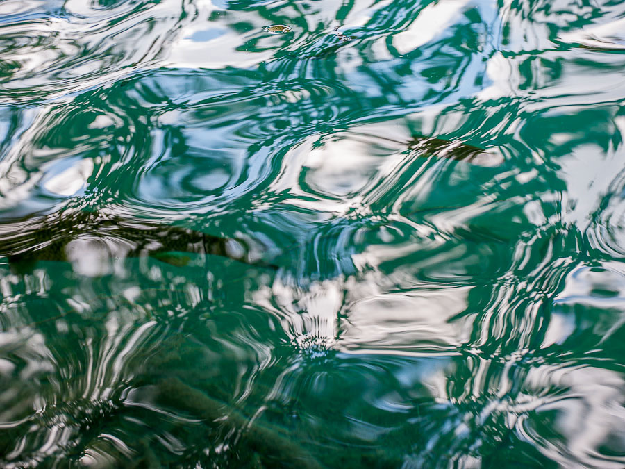 813_0171